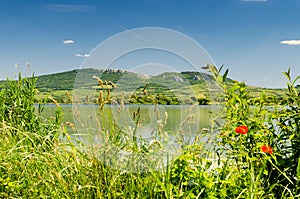 PÃÂ¡lava hills, Moravia, Czech Republic, Central Europe photo