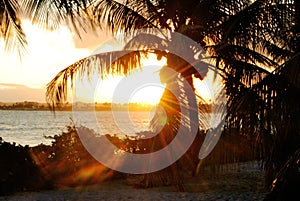 PÃÂ´r do Sol - Sunset