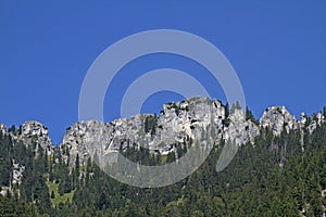 PÃ¼rschling in the Ammergau Alps