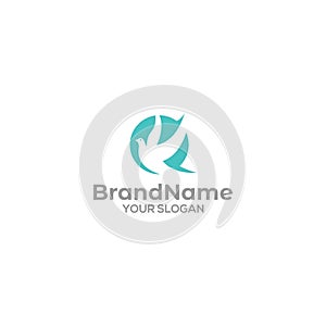 Q Dove Logo Design Vector