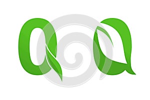 Q letter and leaf logo design template vector