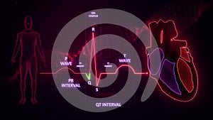 Q Wave from Electrocardiogram Wave or ECG or EKG