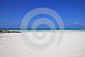 Qalansiyah Beach of Socotra island, Indian ocean, Yemen photo