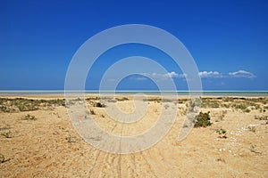 Qalansiyah Beach of Socotra island, Indian ocean, Yemen photo