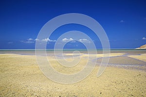 Qalansiyah Beach of Socotra island, Indian ocean, Yemen photo