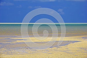 Qalansiyah Beach of Socotra island, Indian ocean, Yemen photo