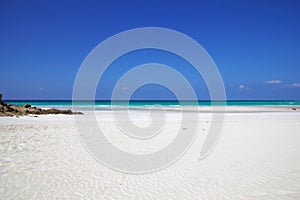 Qalansiyah Beach of Socotra island, Indian ocean, Yemen photo