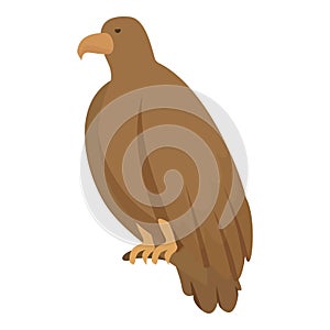 Qatar eagle icon cartoon vector. Arabic festival
