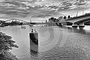 QE Brisbane River CBD Bridge Left BW