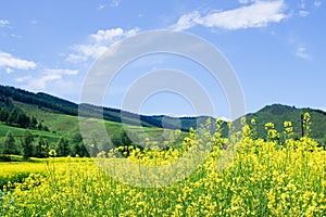 Qilian mountains