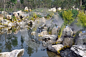 Qingbaijiang, China: Chrysanthemum Gardens