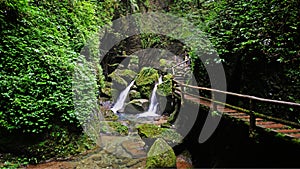 Scenery of the Back Hill of Qingcheng Mountain