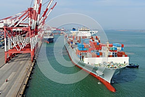 Qingdao Port Container Terminal