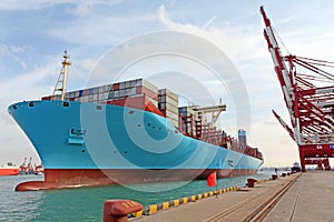 Qingdao Port Container Terminal photo