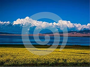 Qinghai Lake is also known as `Tuwenbu`, meaning Tibetan `cyan sea`