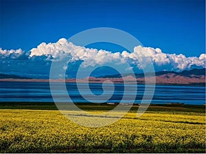 Qinghai Lake is also known as `Tuwenbu`, meaning Tibetan `cyan sea` photo