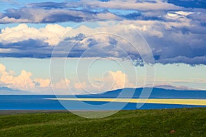 Qinghai Lake and Flower