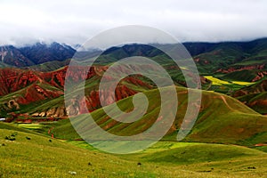 Qinghai Qilian Zhuoer Mountain scenery and Cole flowers photo