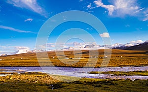 Qinghai Tibet Plateau