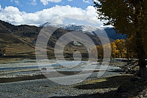 On the qinghai-tibet plateau scenery