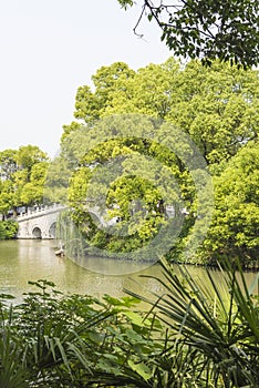 Qinghuai river and green tree