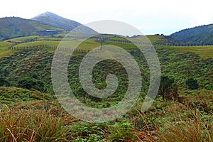 Qingtiangang Grassland in Taipei Yangmingshan National Park,