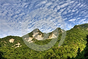 Qinling Mountain
