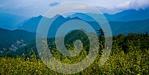 The Qinling Mountain Ridge