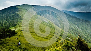 The Qinling Mountain Ridge