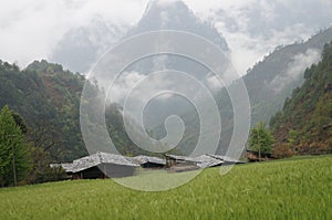 Qiunatong village