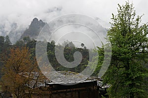 Qiunatong village