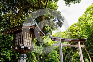 qlamp and Torii Gate of Meiji Jingu shrine, Tokyo
