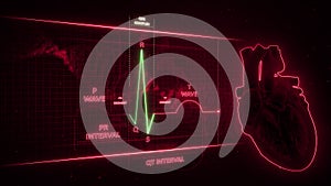 QRS Complex from Electrocardiogram Wave or ECG or EKG