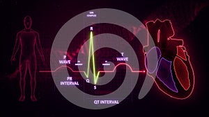 QRS Complex from Electrocardiogram Wave or ECG or EKG