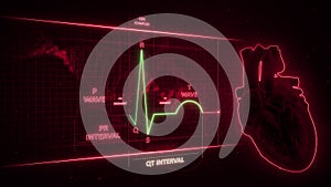 QT Interval of Electrocardiogram Wave or ECG or EKG