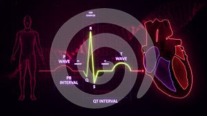 QT Interval of Electrocardiogram Wave or ECG or EKG