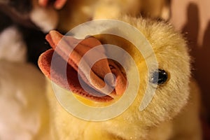 Quack Quack - Fuzzy fluffy stuffed yellow duck toy - closeup of face and bill and selective focus photo