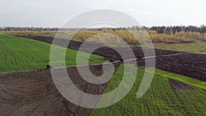 Quad bike ride through the field through the forest aerial photography view from quadcopter