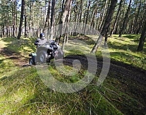 Quad speeding in forest (ATV)
