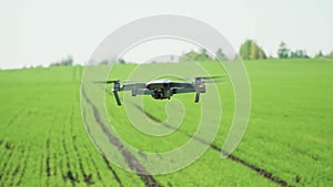 The quadcopter is hovering over the green field in the evening at sunset