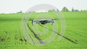 The quadcopter is hovering over the green field in the evening at sunset