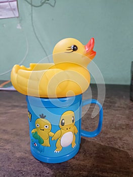 Quadrant duck toy photo