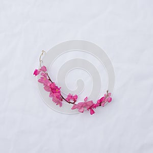 Quadrant pink flower frame of coral vine photo
