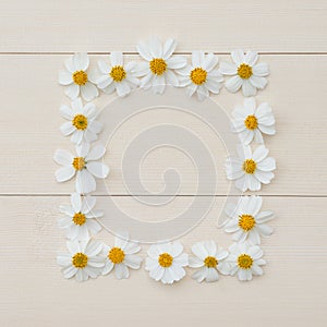 Quadrate white flower frame of Spanish needle