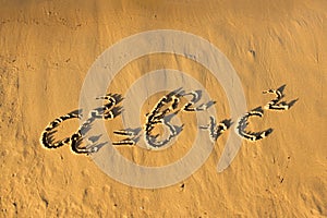 Quadratic equation handwriting on the sand.