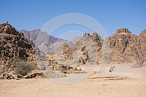 Quadricycle safari park in Egypt sand desert. Mountains landscape.