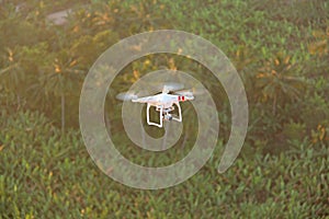 Quadrocopter drone white flying over the palm jungle of Hampi, I