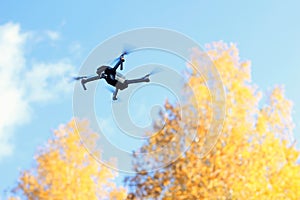 Quadrocopter flying next to the autumn trees against the blue sky. Remote controlled drone with camera