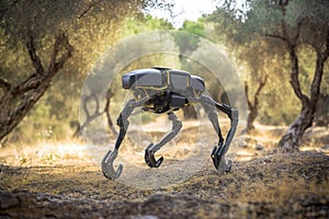 A quadruped biomechanical robot also known as robot dog with a camera.