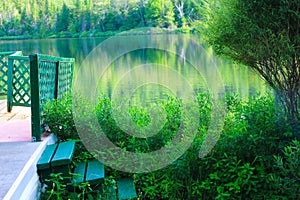 Quai en bois entourÃ© de plantes devant le lac PauzÃ©, Qc, Can